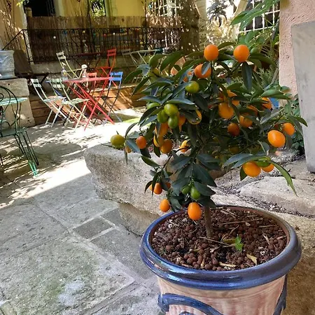 Bed & Breakfast La Paillere D Hotes Mus
