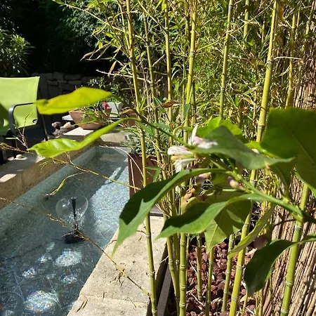 Bed & Breakfast La Paillere D Hotes Mus